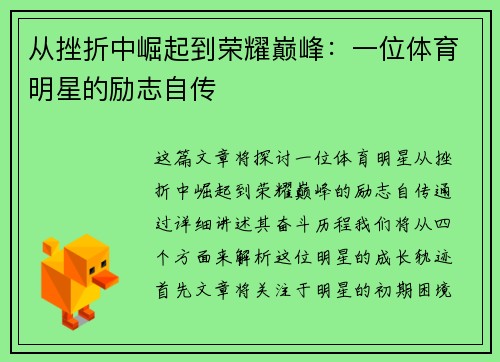 从挫折中崛起到荣耀巅峰：一位体育明星的励志自传